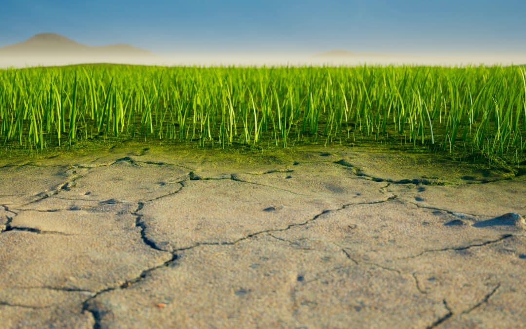 Building resilient infrastructures in climate vulnerable communities in India